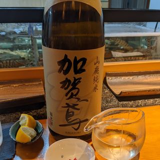 加賀鳶(若大将 )