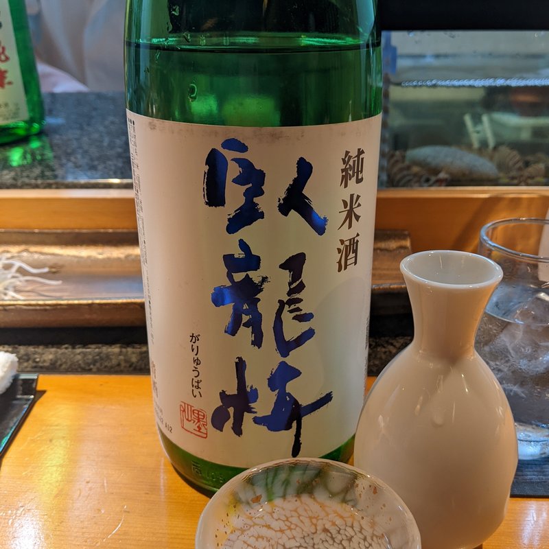 臥龍梅(若大将 )