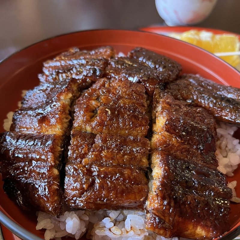うなぎ丼(松)(ほうねんや )