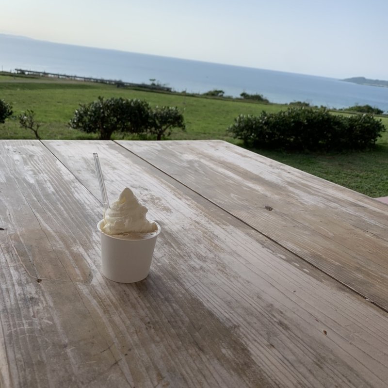 ジェラート(ミルク，塩黒糖)(ミルミル本舗 本店)