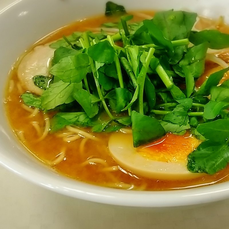 熟成みそラーメン(宇都宮餃子 豚嘻嘻(とんきっき) 上河内SA下り

)