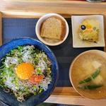 本日のメニュー