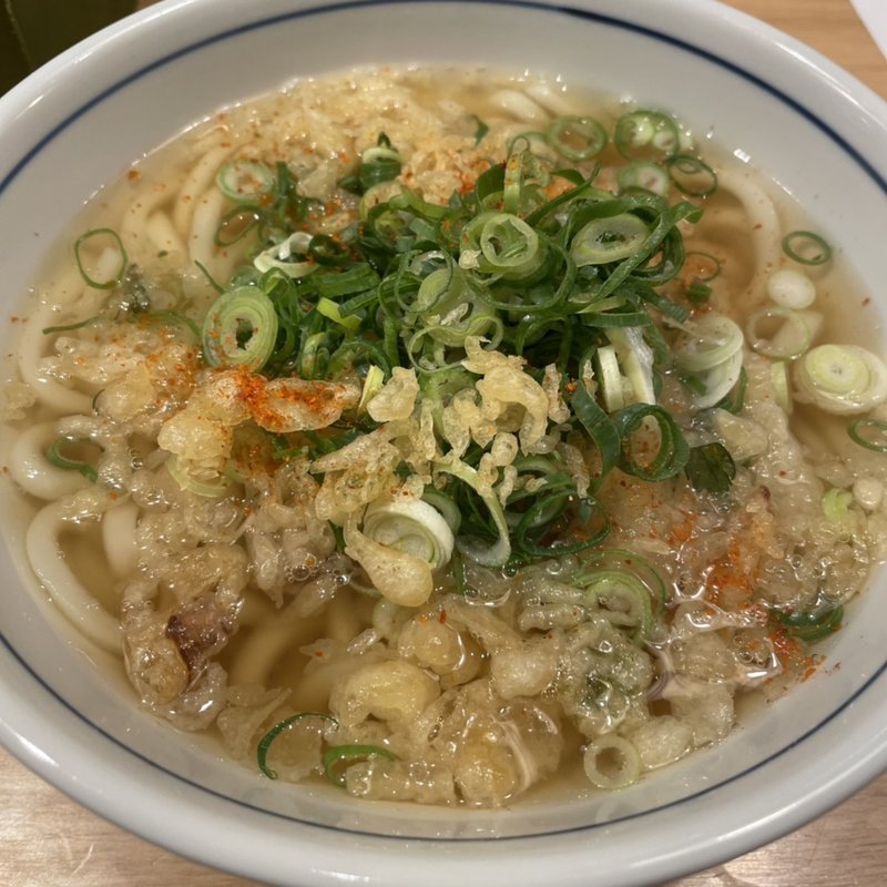 ゴボウ天うどん(ウエスト 天神昭和通り店 )