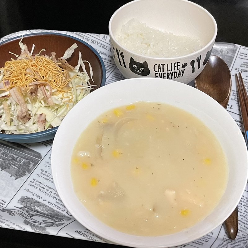 サーモンシチュー＋サラダ(自宅)