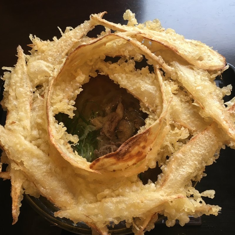 肉ごぼう天うどん(大地のうどん 本店)