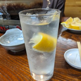 レモンサワー(谷中 鳥よし )
