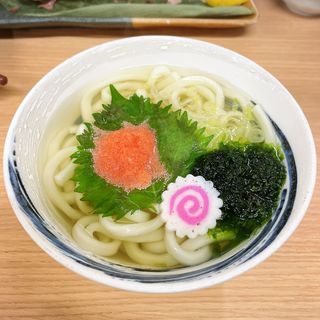のり明太うどん(大衆割烹 藤八 （たいしゅうかっぽうとうはち）)