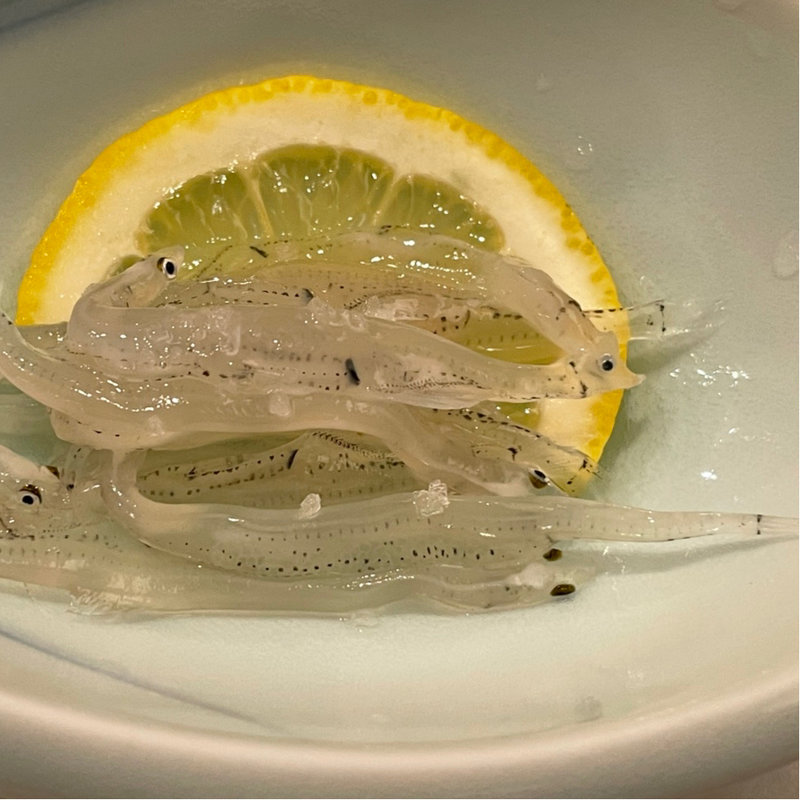 いらうお(丸銀鮨 )