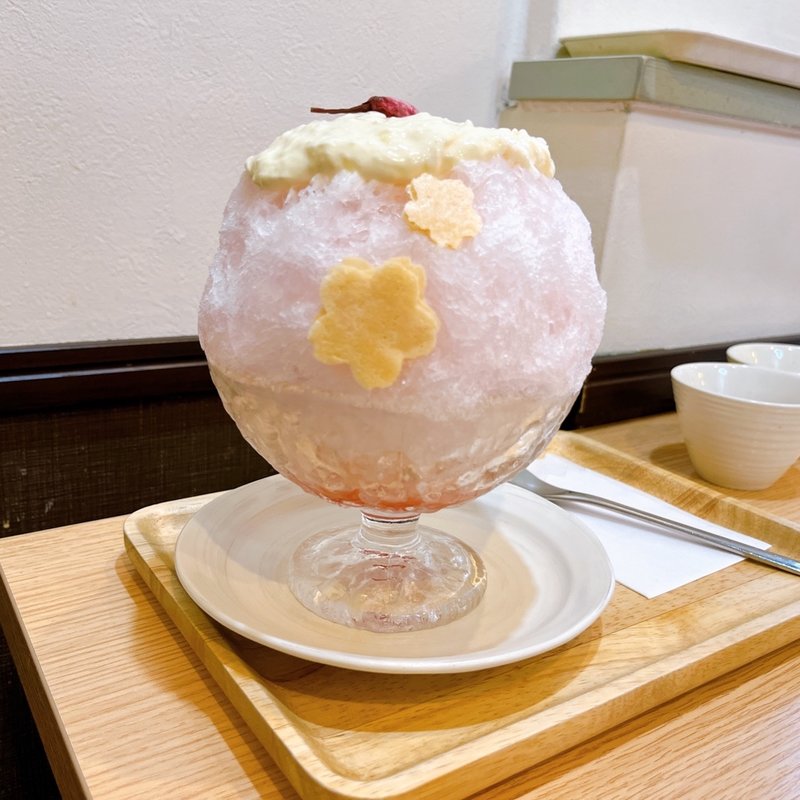 桜だより(GOFUKU)