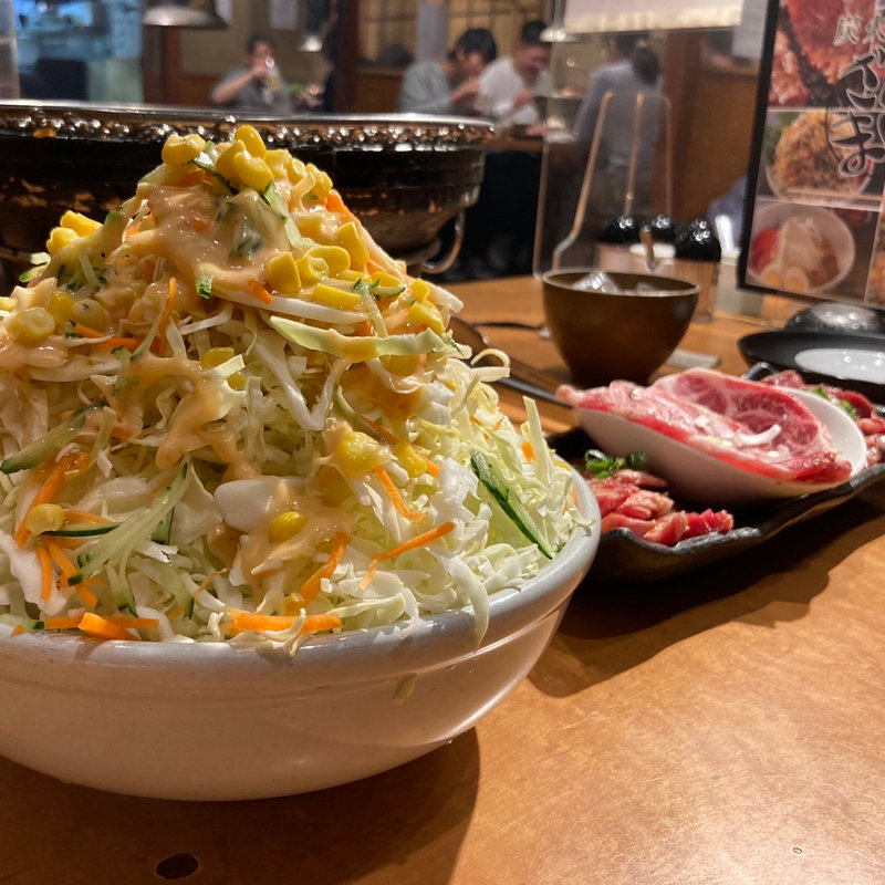 ざんまい半サラダ(焼肉ざんまい六会店)