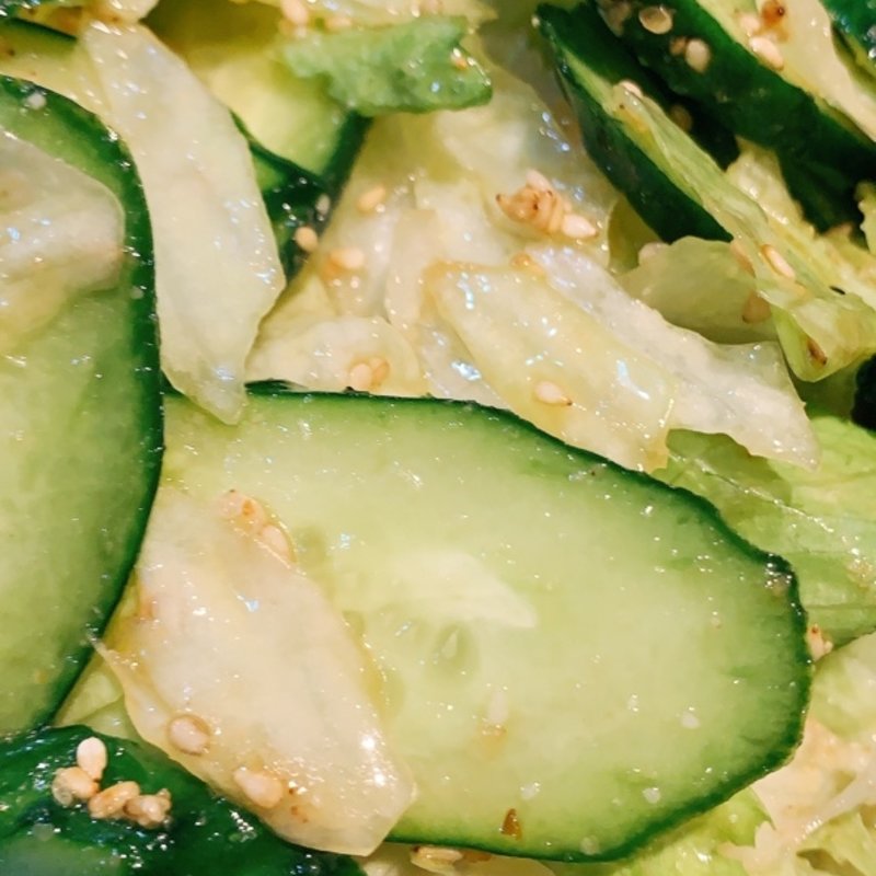 サラダ(甲斐武 )