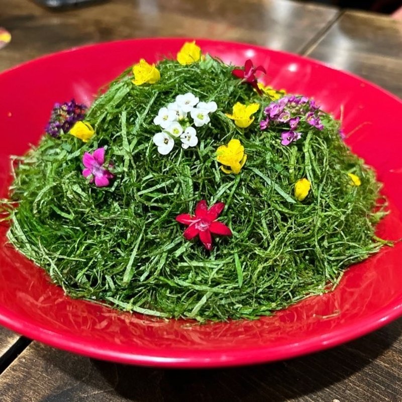 しそスパ(bubblegum.（バブルガム）)