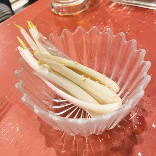 島らっきょ(琉球どさんこ しぶ猫)