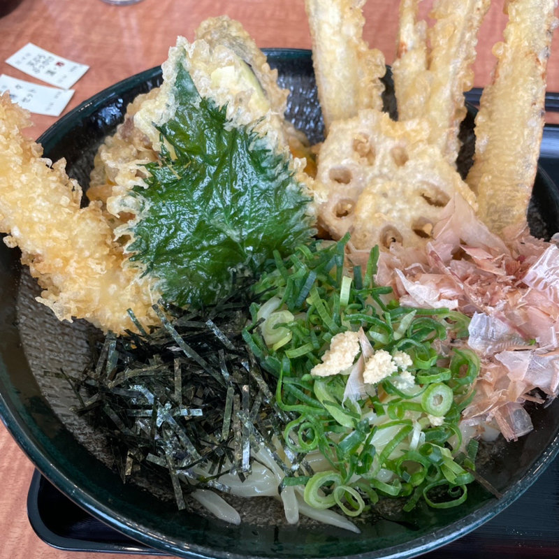 天ぷらぶっかけ冷(うどん 白木商店)