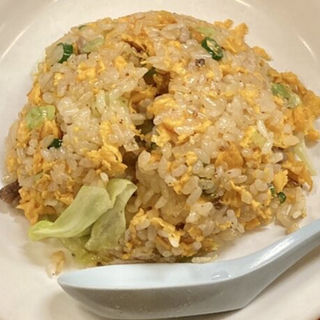 半チャーハン(麺元素)