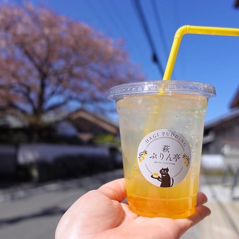 夏みかんソーダ(萩ぷりん亭)