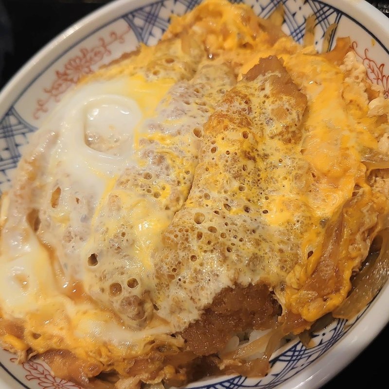 かつ丼(味奈登庵 総本店)