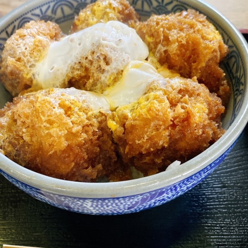 ヒレかつ丼(大島屋)