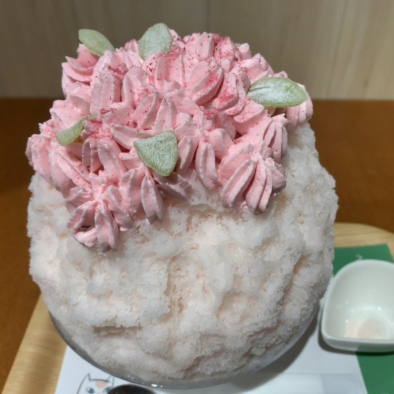 さくら満開(銀座のジンジャー 銀座本店)