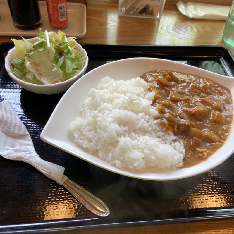 カレーライス(木洩れ日)