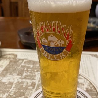 長濱ピルスナー(長濱浪漫ビール （長浜浪漫ビール ナガハマロマンビール）)