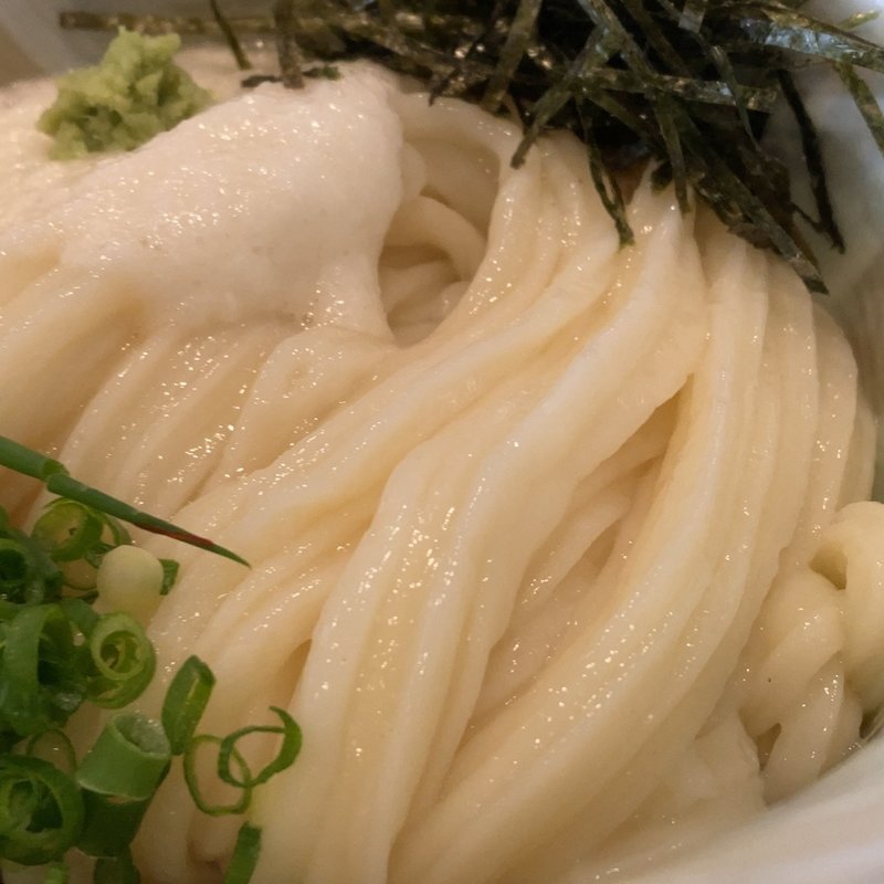 とろろしょうゆうどん(本格手打ちうどん大河)