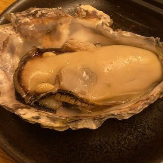 真牡蠣(食いしんぼ ままや （クイシンボママヤ）)