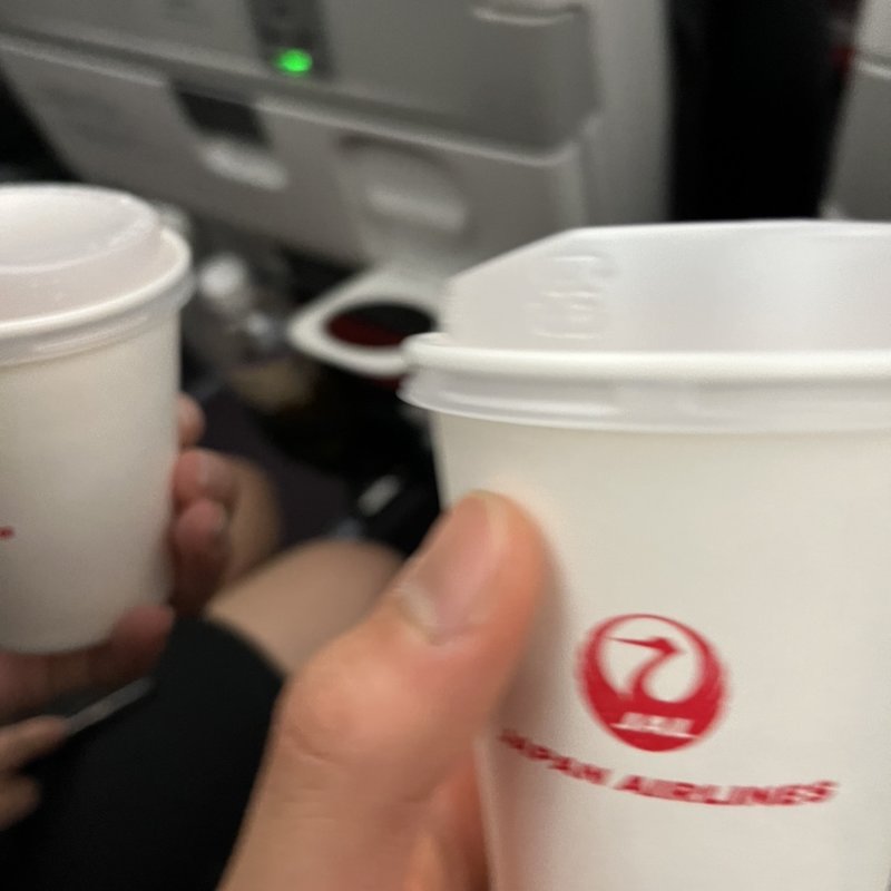 コンソメスープ(JAL)