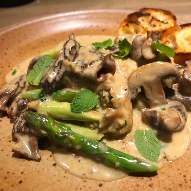 牡蠣とモリーユ茸のフリカッセ(lumielune(ルミエルネ))