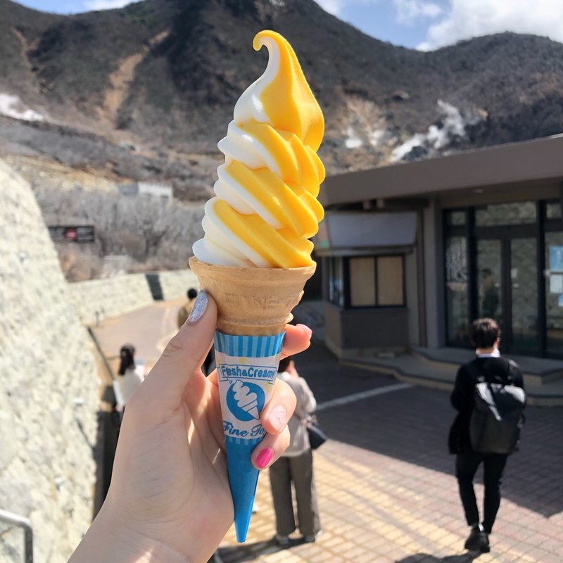 高原バニラとたまごミックスソフトクリーム(U-LAND ゆーらんど)