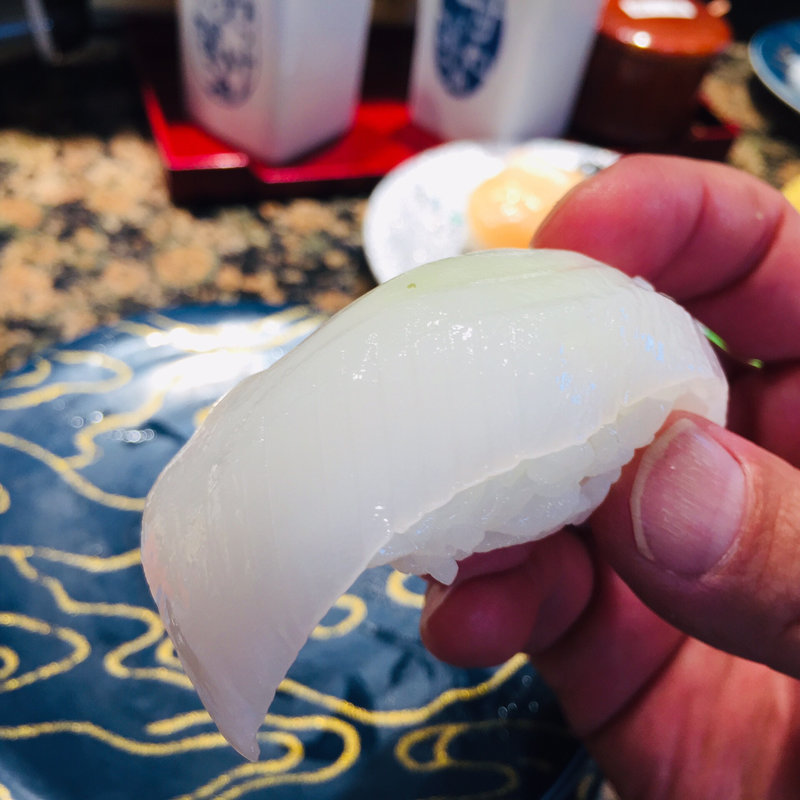 アオリイカの握り(廻る寿司めっけもん ドルフィンポート店 )