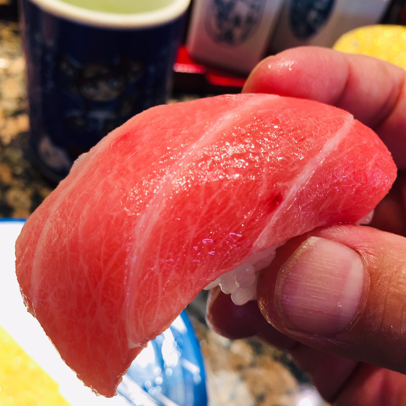 本鮪大トロの握り(廻る寿司めっけもん ドルフィンポート店 )