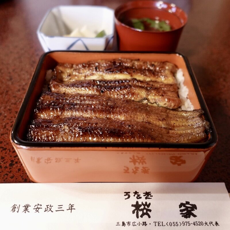 うな重(うなぎ　桜家 （さくらや）)