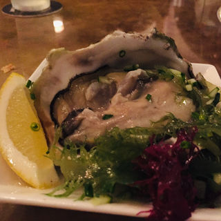 長島産岩牡蠣と海藻のカルパッチョ(B・B13BAR （ビー・ビー サーティーン バー）)