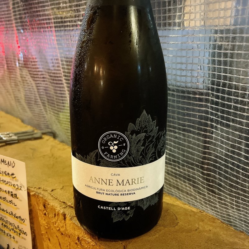 CAVA ANNE MARIE(Pablo)