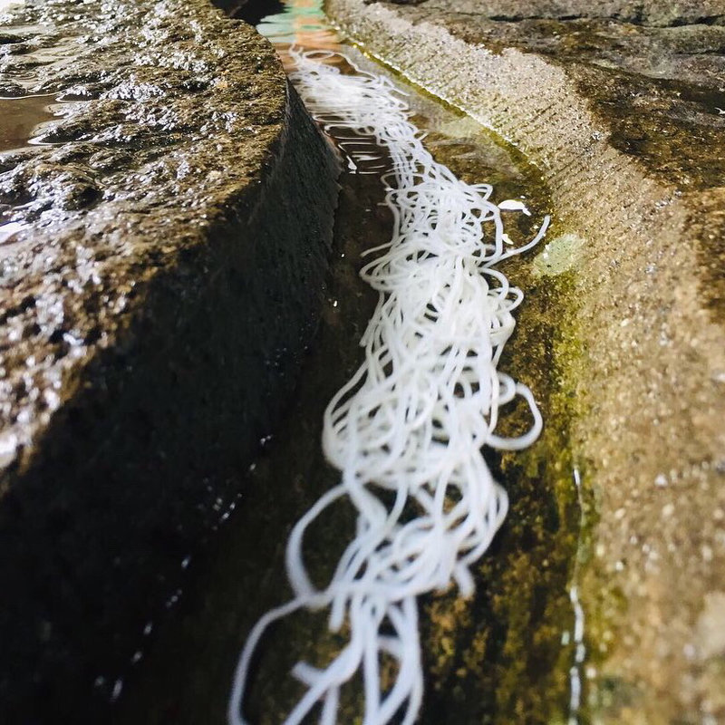 ソーメン(愛の里 （あいのさと）)