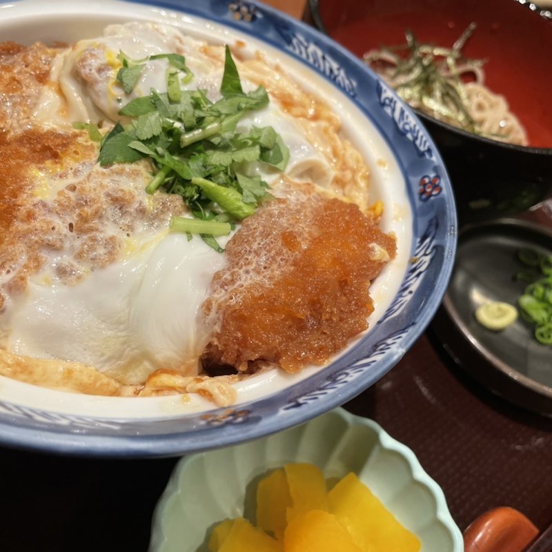 かつ丼ミニ麺セット(どんぶり専門店 丼丼亭 大阪ホワイティうめだ店)