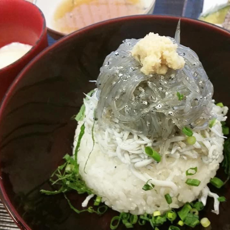生しらす丼(食事処 秋本)
