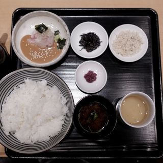 あさ鯛茶(鯛茶福乃)