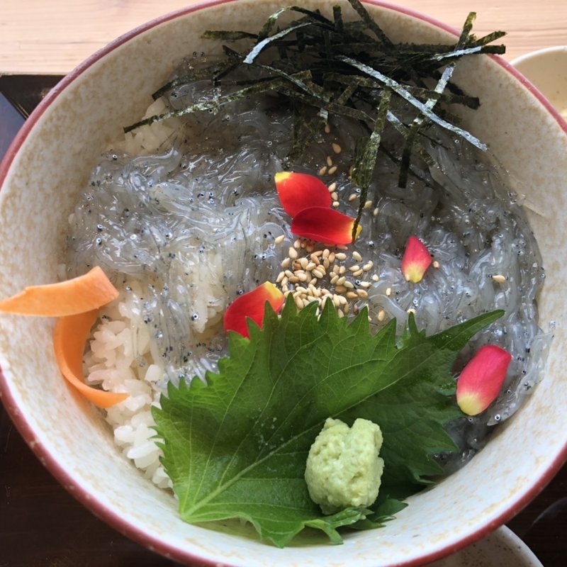 生シラス丼(南紀すさみの恵み食堂 蒼海 （そうかい）)