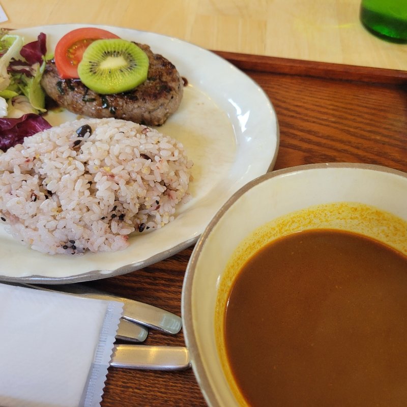 鴨バーグのスープカリー(北鎌倉ぬふ・いち)