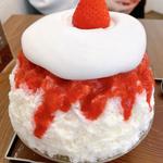 氷のショートケーキ(サカノウエカフェ )