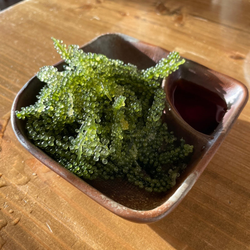 海ぶどう(北谷殿内)