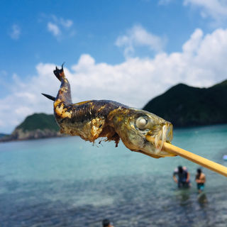 銚子産真鰯の串焼き(B・B13BAR （ビー・ビー サーティーン バー）)