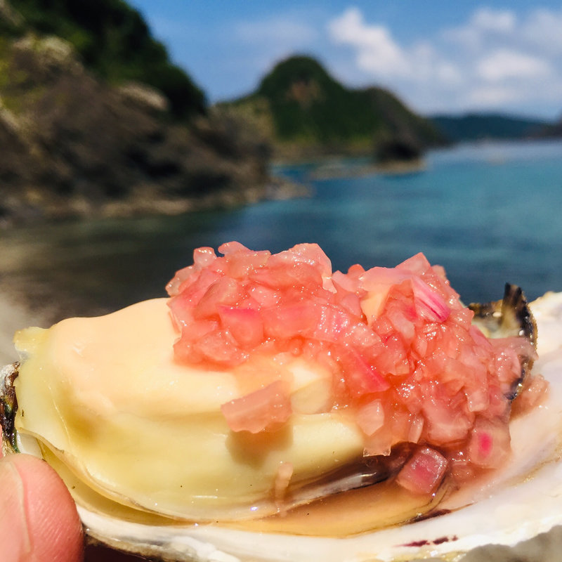 厚岸産生牡蠣の炭火焼き(B・B13BAR （ビー・ビー サーティーン バー）)