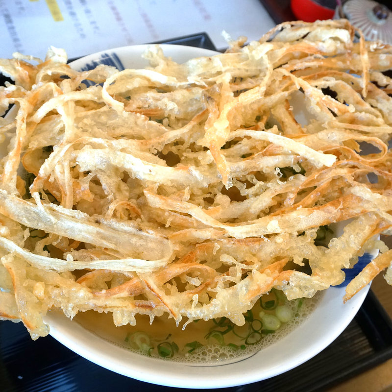 ごぼう天うどん(うどん ゆうぜん)