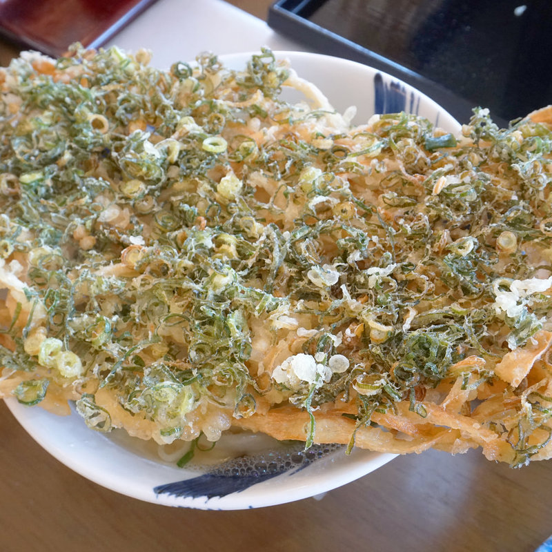 ねぎごぼう天うどん(うどん ゆうぜん)