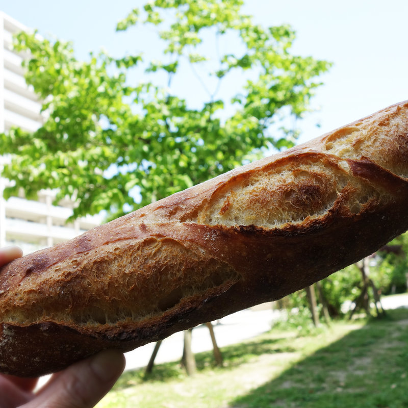 フランスパン(マツパン)