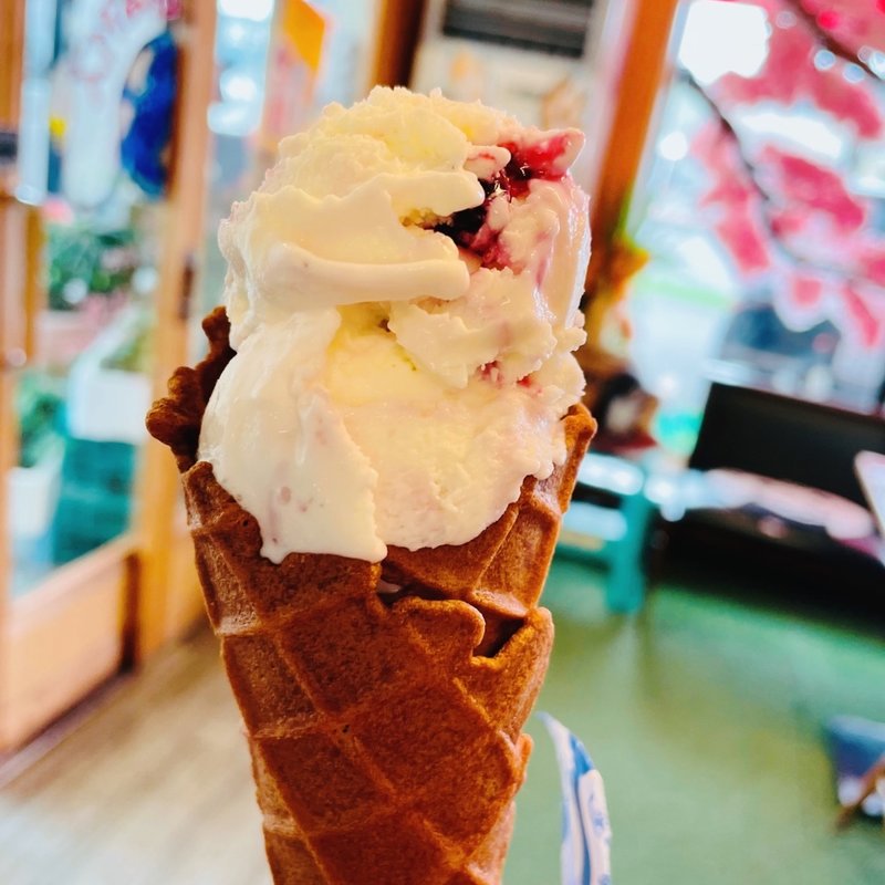 ブルーベリー　ジェラード(地球のアイス)