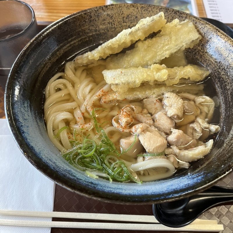 かしわごぼう天うどん(うどん研究所 麺喰道)